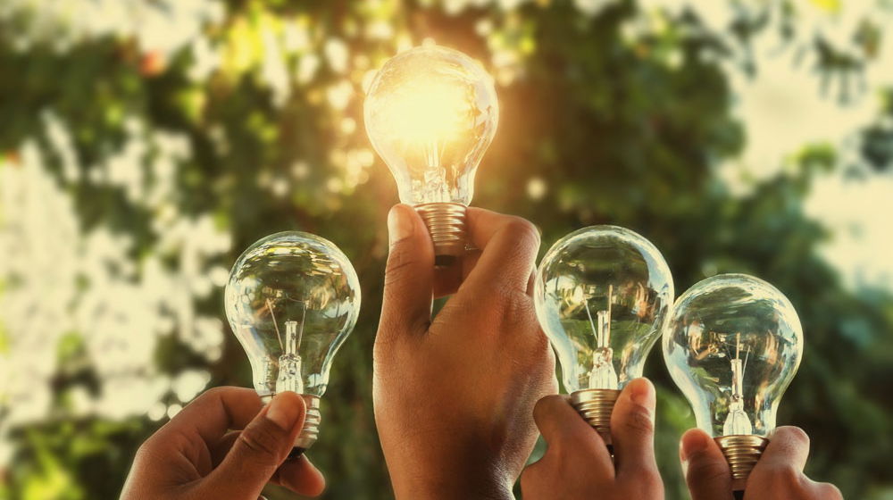 Mehrere Hände halten Glühbirnen, eine davon leuchtet hell. Im Hintergrund sind unscharf Bäume und Sonnenlicht zu sehen.